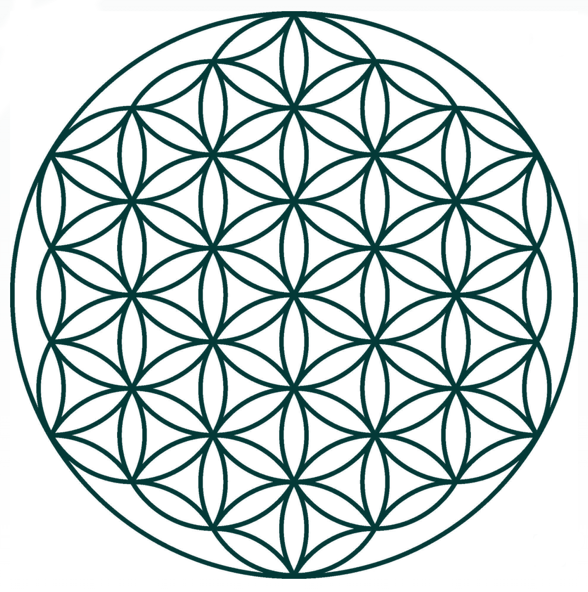 Flower of life Flower of life