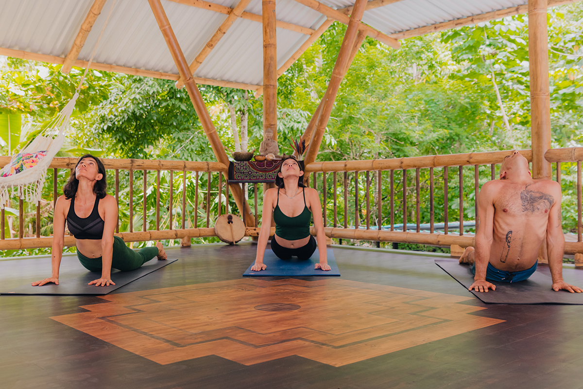 Yoga Yoga
