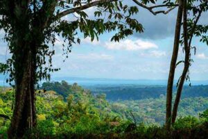 Scenic view of Golfo Dulce from hiking trail near Templo del Tigre in the Osa Peninsula.