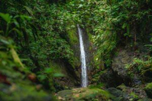 Jungle waterfall in Dos Brazos, within walking distance of Templo del Tigre in the Osa Peninsula.