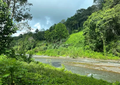 Peaceful river view from the dieta retreat at Templo del Tigre, Costa Rica.