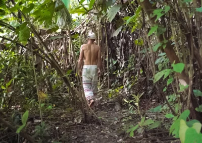 Jungle walk during a dieta retreat in Dos Brazos near Templo del Tigre.