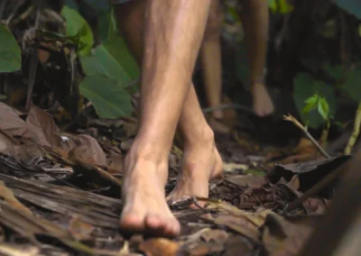 Person walking through dense jungle trails in Dos Brazos.