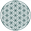 flower-of-life-symbol Flower of Life sacred geometry symbol.