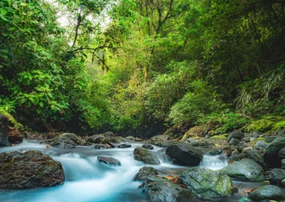 Rio Tigre river flowing through the Dos Brazos area in Costa Rica.