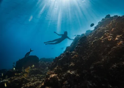 Snorkeling with tropical fishes in the Osa Peninsula, Costa Rica.