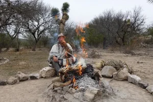 Sacred fire ceremony with Andean master plant in a traditional healing ritual.