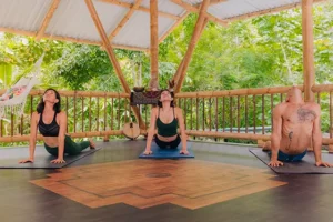 Practicing Bhujangasana cobra pose in the jungle yoga shala at Templo del Tigre near Corcovado National Park in Costa Rica during a wellness retreat.