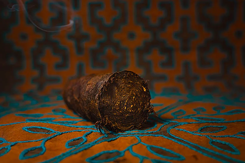 Maso of sacred tobacco (Mapacho) used in traditional plant dieta at Templo del Tigre.<br />
