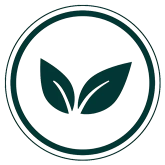 Organic local meals at Templo del Tigre – nourishing plant-based food during master plant dieta retreats in Costa Rica.