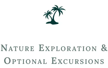 Nature excursions at Templo del Tigre – jungle hikes, waterfalls, and adventures in the Osa Peninsula, Costa Rica.